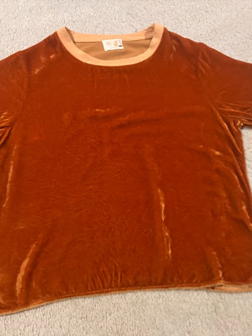 NATION LTD crushed velvet tee (S) - Picture 2 of 5